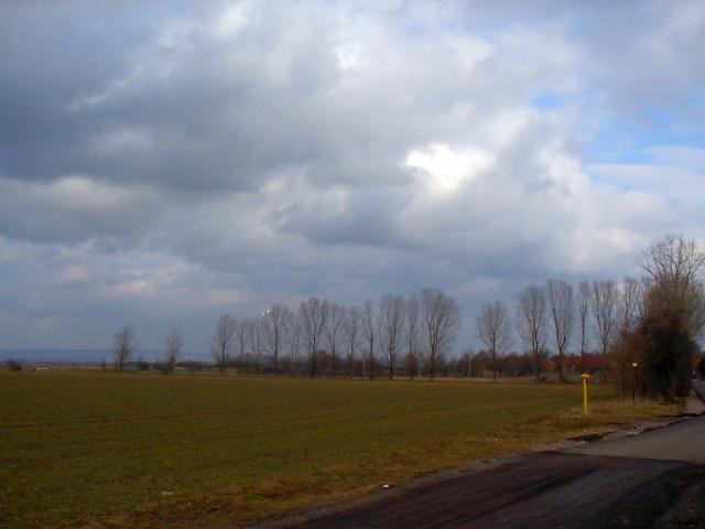 Ansichten Frühjahr 2006