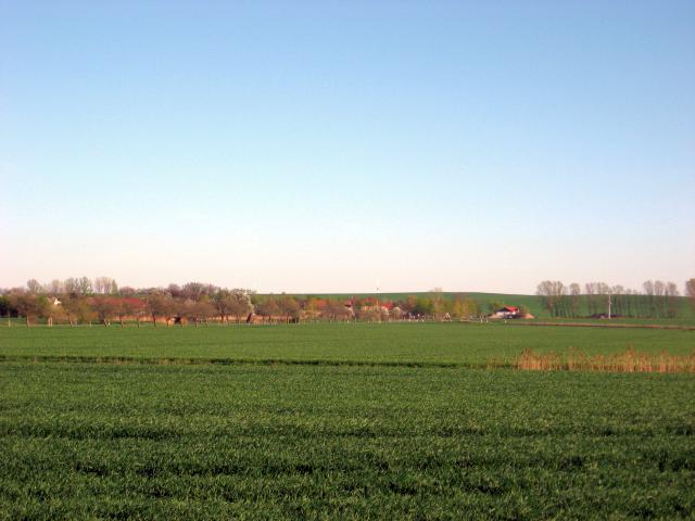 Ansichten Frühjahr 2007