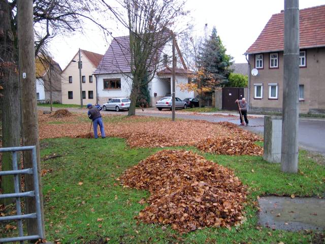 Herbstputz 2009