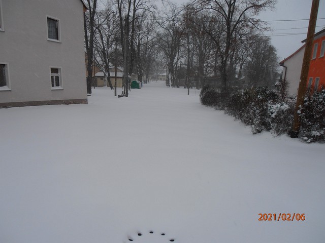 Im Schnee versunken (Februar 2021)