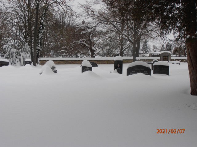Im Schnee versunken (Februar 2021)