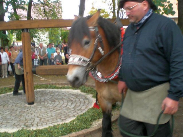 4. Waidmühlenfest 2009