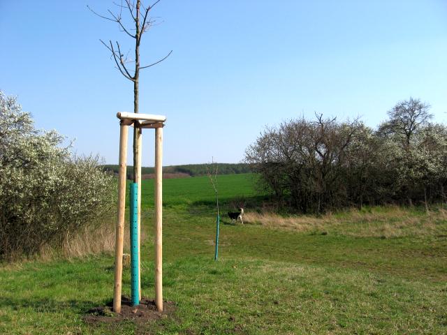Ansichten Frühjahr 2007