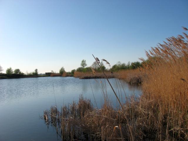 Ansichten Frühjahr 2007