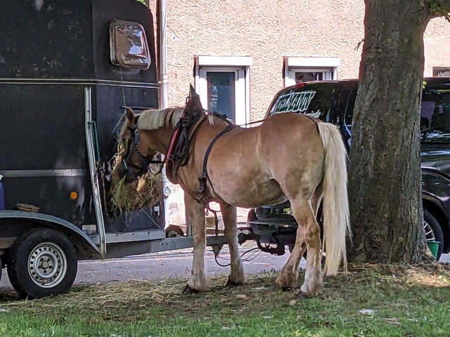 Mühlentag 2024