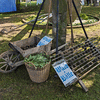 Mühlentag 2024