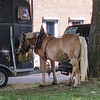 Mühlentag 2024