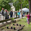Mühlentag 2025