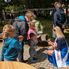 Mühlentag 2025